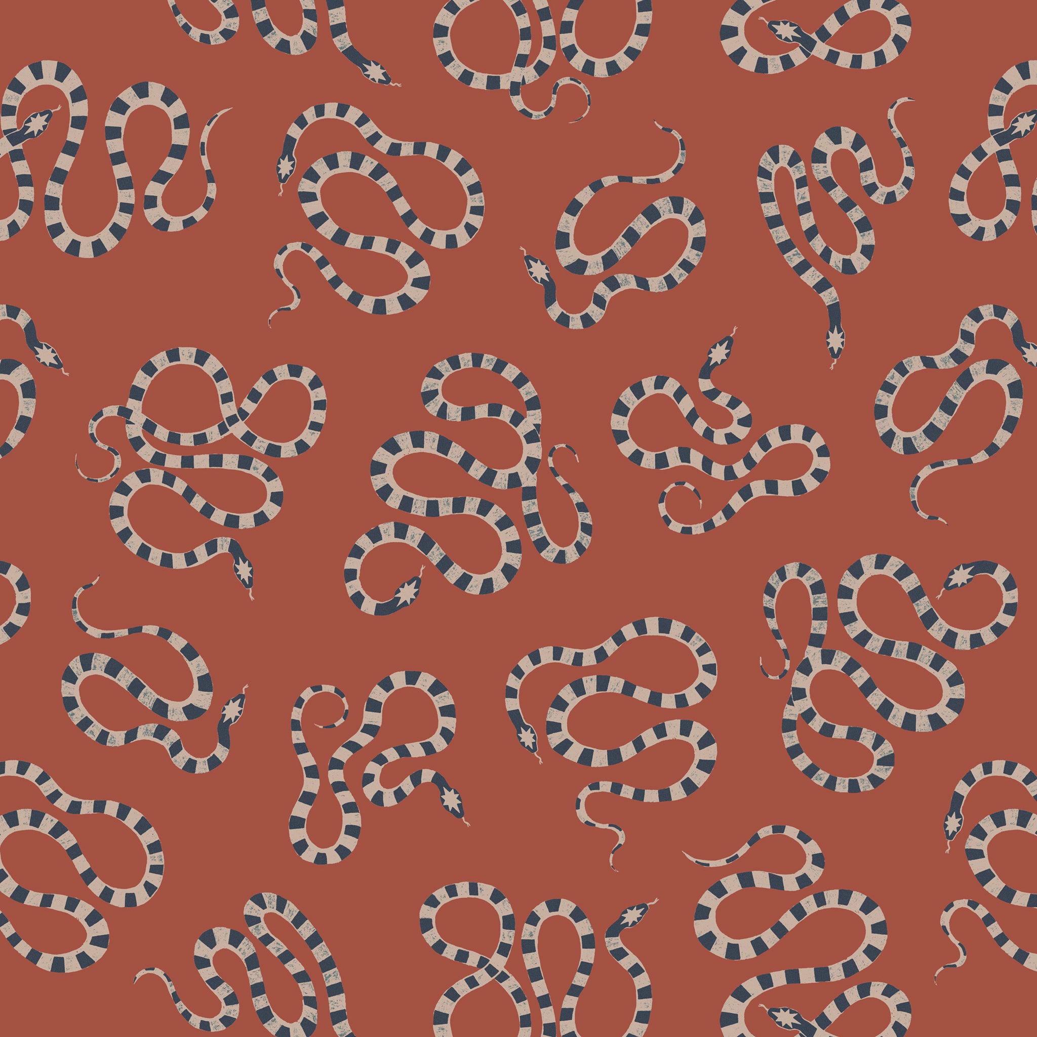 Snake Daisies in Clay – SIBYL Home